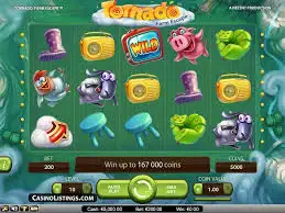 citadel 1xbet